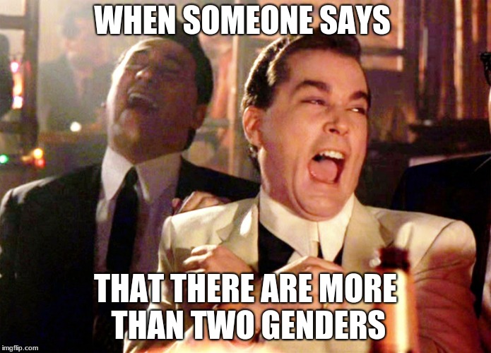 Good Fellas Hilarious | WHEN SOMEONE SAYS; THAT THERE ARE MORE THAN TWO GENDERS | image tagged in memes,good fellas hilarious | made w/ Imgflip meme maker