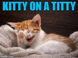 KITTY ON A TITTY | made w/ Imgflip meme maker