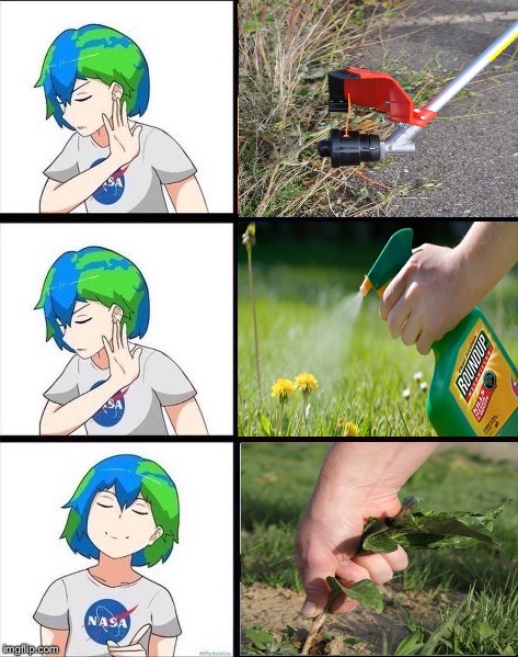 image tagged in earth chan,weed whacker,pulling by hand,weeding,roundup,manual labor | made w/ Imgflip meme maker