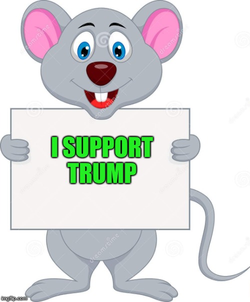 foolish mouse | I SUPPORT TRUMP | image tagged in mouse,trump | made w/ Imgflip meme maker