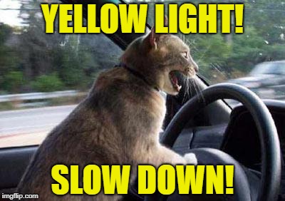 YELLOW LIGHT! SLOW DOWN! | made w/ Imgflip meme maker