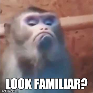 Mad Monkey | LOOK FAMILIAR? | image tagged in mad monkey | made w/ Imgflip meme maker