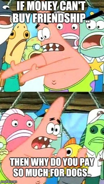 Put It Somewhere Else Patrick Meme | IF MONEY CAN'T BUY FRIENDSHIP.. THEN WHY DO YOU PAY SO MUCH FOR DOGS.. | image tagged in memes,put it somewhere else patrick | made w/ Imgflip meme maker