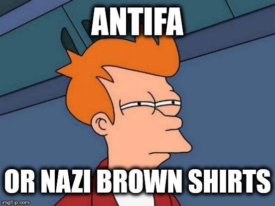 Antifa are really Fascists | ANTIFA; OR NAZI BROWN SHIRTS | image tagged in memes,futurama fry,antifa | made w/ Imgflip meme maker