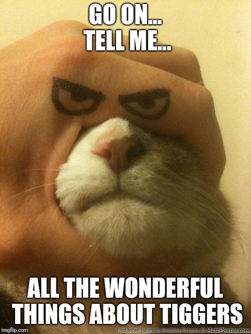 Their tops are made of the rubber | GO ON... TELL ME... ALL THE WONDERFUL THINGS ABOUT TIGGERS | image tagged in memes,tigger,angry,cat | made w/ Imgflip meme maker