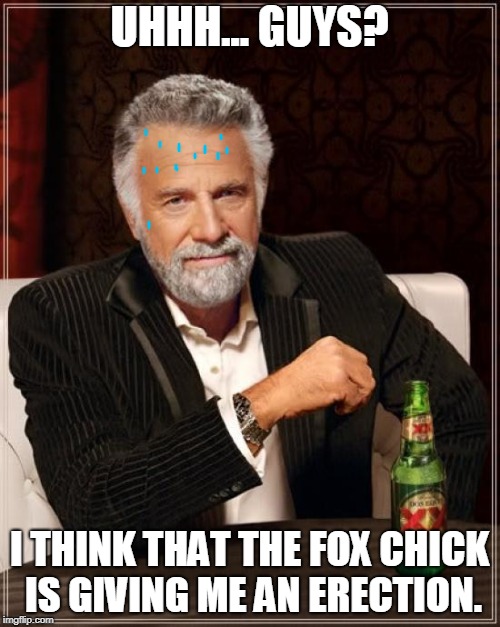 The Most Interesting Man In The World Meme | UHHH... GUYS? I THINK THAT THE FOX CHICK IS GIVING ME AN ERECTION. | image tagged in memes,the most interesting man in the world | made w/ Imgflip meme maker