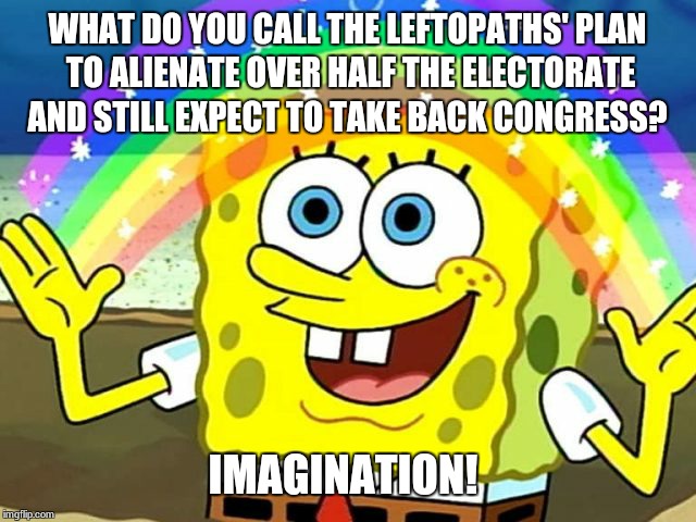 WHAT DO YOU CALL THE LEFTOPATHS' PLAN TO ALIENATE OVER HALF THE ELECTORATE AND STILL EXPECT TO TAKE BACK CONGRESS? IMAGINATION! | made w/ Imgflip meme maker