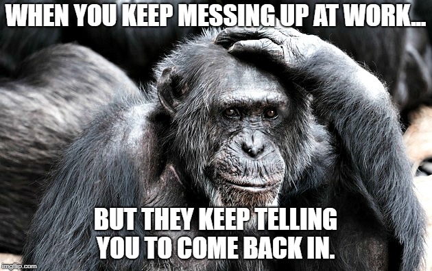 monkey business | WHEN YOU KEEP MESSING UP AT WORK... BUT THEY KEEP TELLING YOU TO COME BACK IN. | image tagged in monkey business,work sucks,ya'll mother fuckers | made w/ Imgflip meme maker