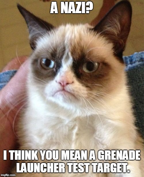 Grumpy Cat Meme | A NAZI? I THINK YOU MEAN A GRENADE LAUNCHER TEST TARGET. | image tagged in memes,grumpy cat | made w/ Imgflip meme maker