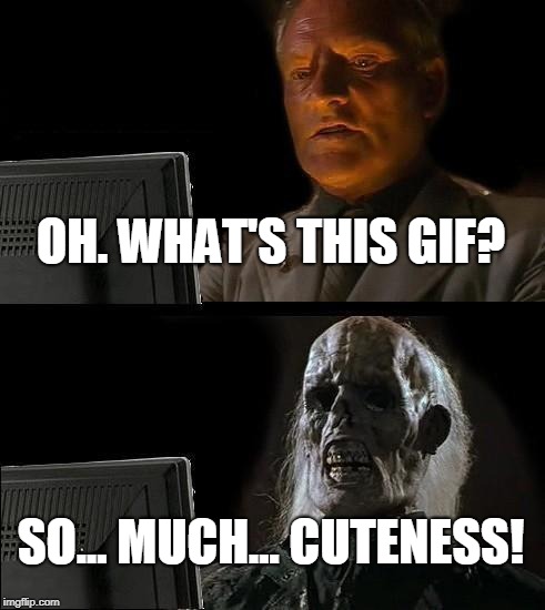 I'll Just Wait Here Meme | OH. WHAT'S THIS GIF? SO... MUCH... CUTENESS! | image tagged in memes,ill just wait here | made w/ Imgflip meme maker