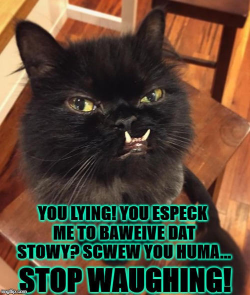 YOU LYING! YOU ESPECK ME TO BAWEIVE DAT STOWY? SCWEW YOU HUMA... STOP WAUGHING! | image tagged in bent faced cat | made w/ Imgflip meme maker