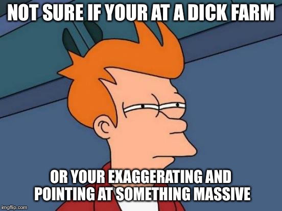 Futurama Fry Meme | NOT SURE IF YOUR AT A DICK FARM OR YOUR EXAGGERATING AND POINTING AT SOMETHING MASSIVE | image tagged in memes,futurama fry | made w/ Imgflip meme maker