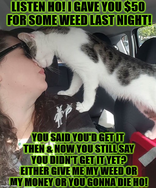 LISTEN HO! I GAVE YOU $50 FOR SOME WEED LAST NIGHT! YOU SAID YOU'D GET IT THEN & NOW YOU STILL SAY YOU DIDN'T GET IT YET? EITHER GIVE ME MY WEED OR MY MONEY OR YOU GONNA DIE HO! | image tagged in where's my weed | made w/ Imgflip meme maker