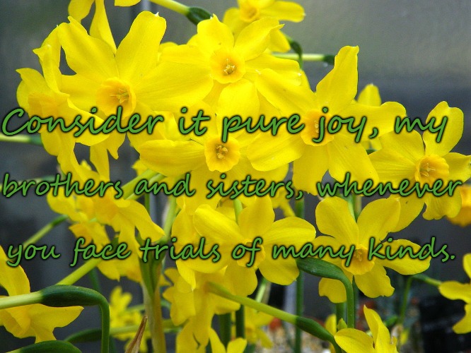 James 1:2 Pure Joy to Face Trials of Many Kinds | Consider it pure joy, my; brothers and sisters, whenever; you face trials of many kinds. | image tagged in holy bible,bible verse,holy spirit,bible,verse,god | made w/ Imgflip meme maker