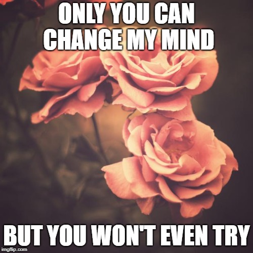 Beautiful Vintage Flowers |  ONLY YOU CAN CHANGE MY MIND; BUT YOU WON'T EVEN TRY | image tagged in beautiful vintage flowers | made w/ Imgflip meme maker