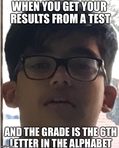 Getting “good results” in an exam  | WHEN YOU GET YOUR RESULTS FROM A TEST; AND THE GRADE IS THE 6TH LETTER IN THE ALPHABET | image tagged in totally busted,great job,i'm sorry | made w/ Imgflip meme maker