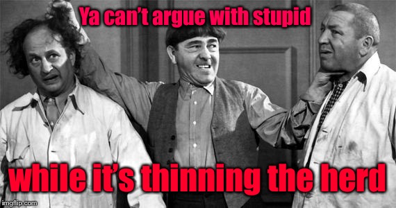 Three Stooges | Ya can’t argue with stupid while it’s thinning the herd | image tagged in three stooges | made w/ Imgflip meme maker