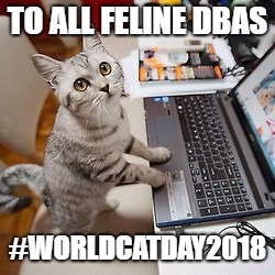 Computer Cat | TO ALL FELINE DBAS; #WORLDCATDAY2018 | image tagged in computer cat | made w/ Imgflip meme maker