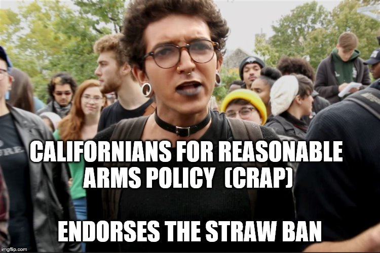 Big endorsement for the straw ban from CRAP | CALIFORNIANS FOR REASONABLE ARMS POLICY  (CRAP); ENDORSES THE STRAW BAN | image tagged in straw ban,sjw,ugly,california,funny | made w/ Imgflip meme maker