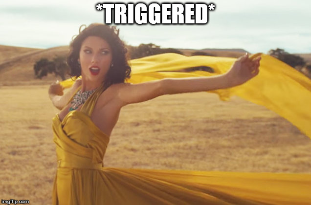 Wildest Dreams Taylor | *TRIGGERED* | image tagged in wildest dreams taylor | made w/ Imgflip meme maker