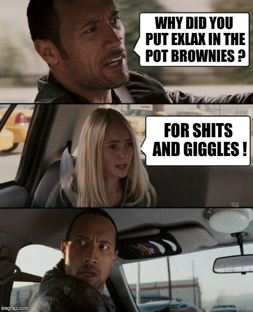Talk about drug runs! |  WHY DID YOU PUT EXLAX IN THE POT BROWNIES ? FOR SHITS AND GIGGLES ! | image tagged in memes,the rock driving,marijuana,bad puns,puns,prank | made w/ Imgflip meme maker
