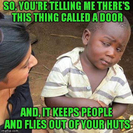 Third World Skeptical Kid Meme | SO, YOU'RE TELLING ME THERE'S THIS THING CALLED A DOOR AND, IT KEEPS PEOPLE AND FLIES OUT OF YOUR HUTS | image tagged in memes,third world skeptical kid | made w/ Imgflip meme maker