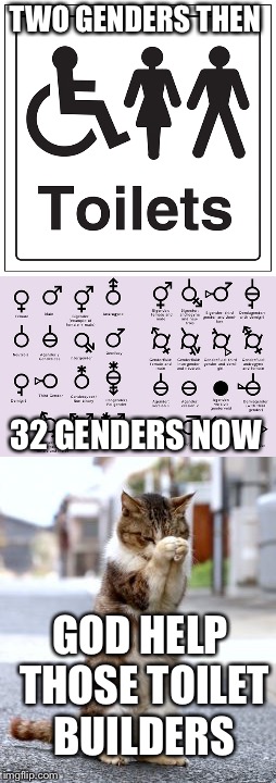 God help those toilet builders | TWO GENDERS THEN; 32 GENDERS NOW; GOD HELP THOSE TOILET BUILDERS | image tagged in memes,toilets,genders,praying cat | made w/ Imgflip meme maker