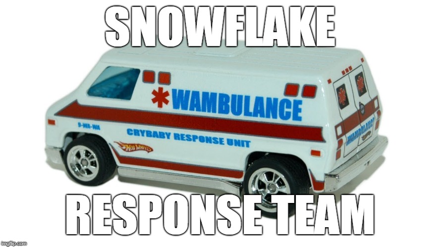 Snowflake Response Team | SNOWFLAKE; RESPONSE TEAM | image tagged in snowflake,snowflakes,wambulance | made w/ Imgflip meme maker