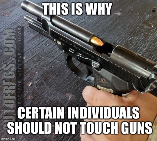 Why certain people should not touch guns | THIS IS WHY; CERTAIN INDIVIDUALS SHOULD NOT TOUCH GUNS | image tagged in guns | made w/ Imgflip meme maker