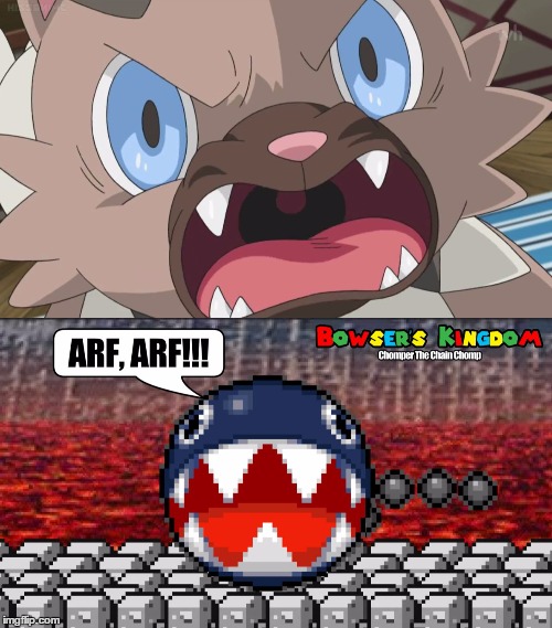 what Rockruff acts like? | image tagged in rockruff,chain chomp | made w/ Imgflip meme maker