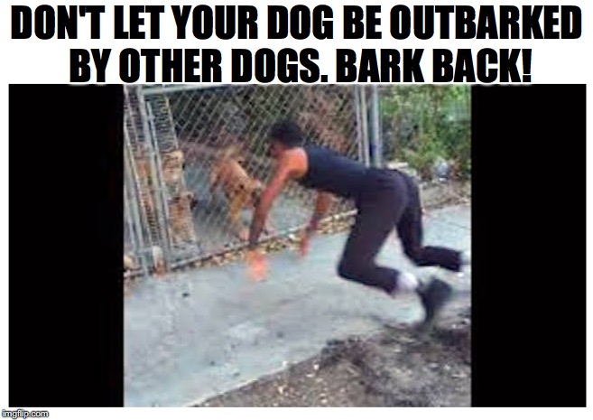 Evening out the odds | DON'T LET YOUR DOG BE OUTBARKED BY OTHER DOGS. BARK BACK! | image tagged in dogs,barking | made w/ Imgflip meme maker