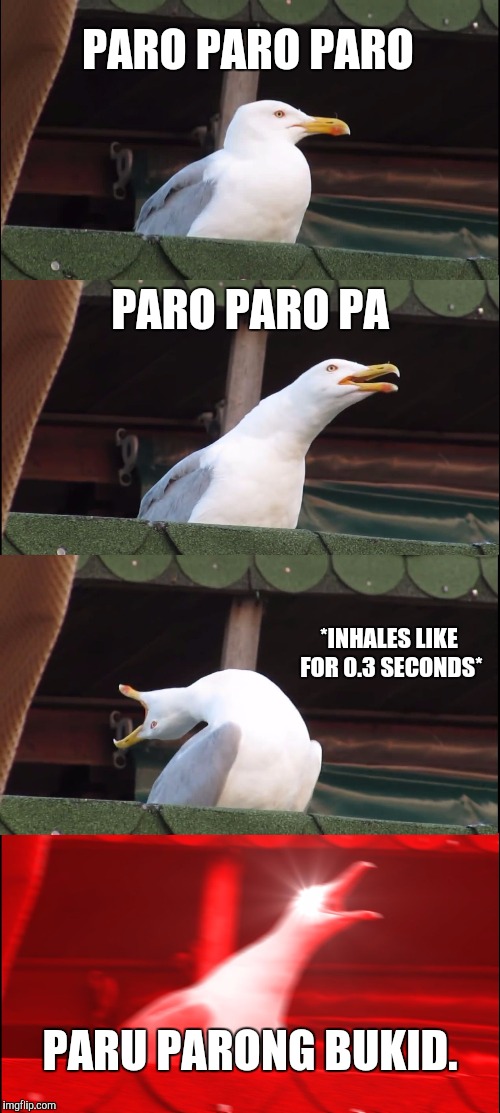 Inhaling Seagull | PARO PARO PARO; PARO PARO PA; *INHALES LIKE FOR 0.3 SECONDS*; PARU PARONG BUKID. | image tagged in memes,inhaling seagull | made w/ Imgflip meme maker