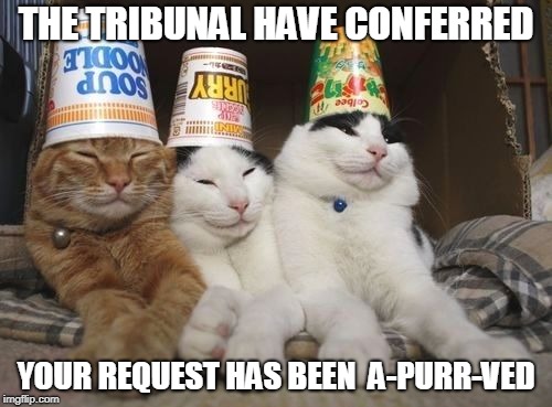 The Meow Meow Tribunal  | THE TRIBUNAL HAVE CONFERRED; YOUR REQUEST HAS BEEN  A-PURR-VED | image tagged in cats | made w/ Imgflip meme maker