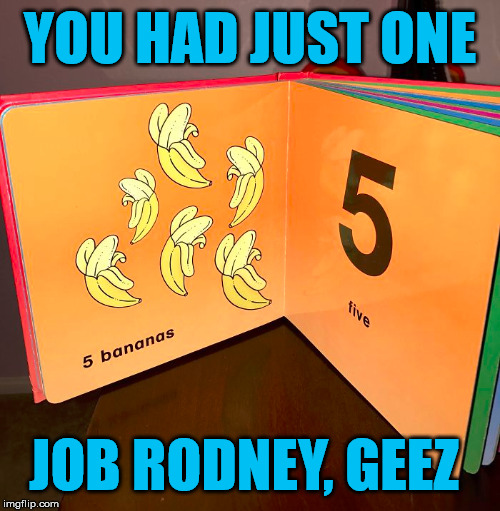 No wonder kids today can not seem to count | YOU HAD JUST ONE; JOB RODNEY, GEEZ | image tagged in memes,kids,mistake,job,funny,funny meme | made w/ Imgflip meme maker