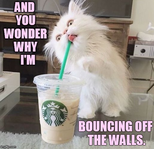 Ah...The Things You Can Get Into With Straws | AND YOU WONDER WHY   I'M; BOUNCING OFF THE WALLS. | image tagged in memes,straws,cat,drinking,starbucks,bouncing off the walls | made w/ Imgflip meme maker