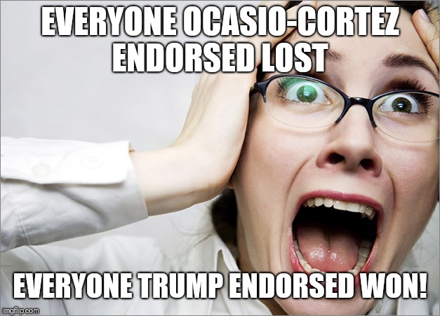 Horrified Liberal | EVERYONE OCASIO-CORTEZ ENDORSED LOST; EVERYONE TRUMP ENDORSED WON! | image tagged in horrified liberal | made w/ Imgflip meme maker