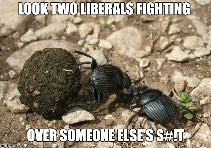 The next election  | LOOK TWO LIBERALS FIGHTING; OVER SOMEONE ELSE'S S#!T | image tagged in the next election | made w/ Imgflip meme maker