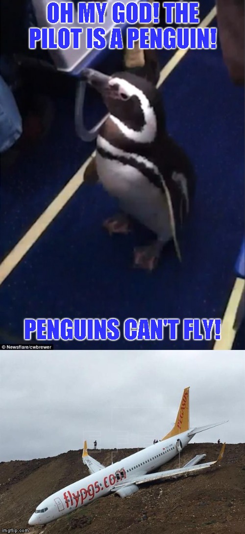 Couldn't think of a funny saying for the bottom panel | OH MY GOD! THE PILOT IS A PENGUIN! PENGUINS CAN'T FLY! | image tagged in old jokes | made w/ Imgflip meme maker
