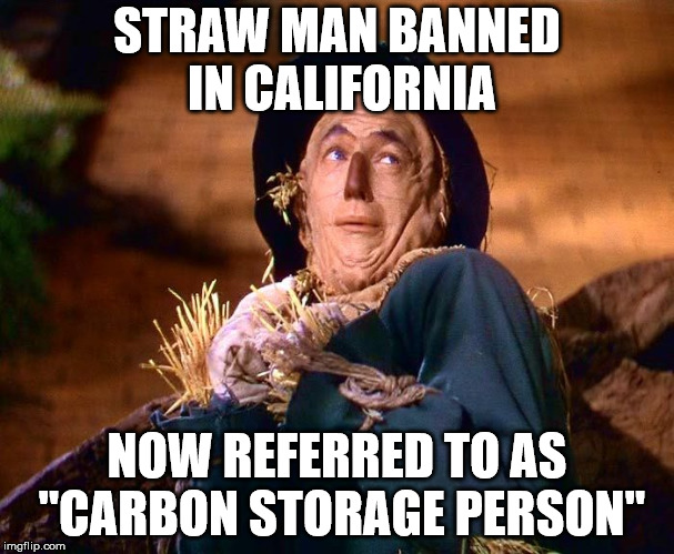 strawman | STRAW MAN BANNED IN CALIFORNIA; NOW REFERRED TO AS "CARBON STORAGE PERSON" | image tagged in strawman | made w/ Imgflip meme maker