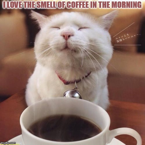 I LOVE THE SMELL OF COFFEE IN THE MORNING | made w/ Imgflip meme maker