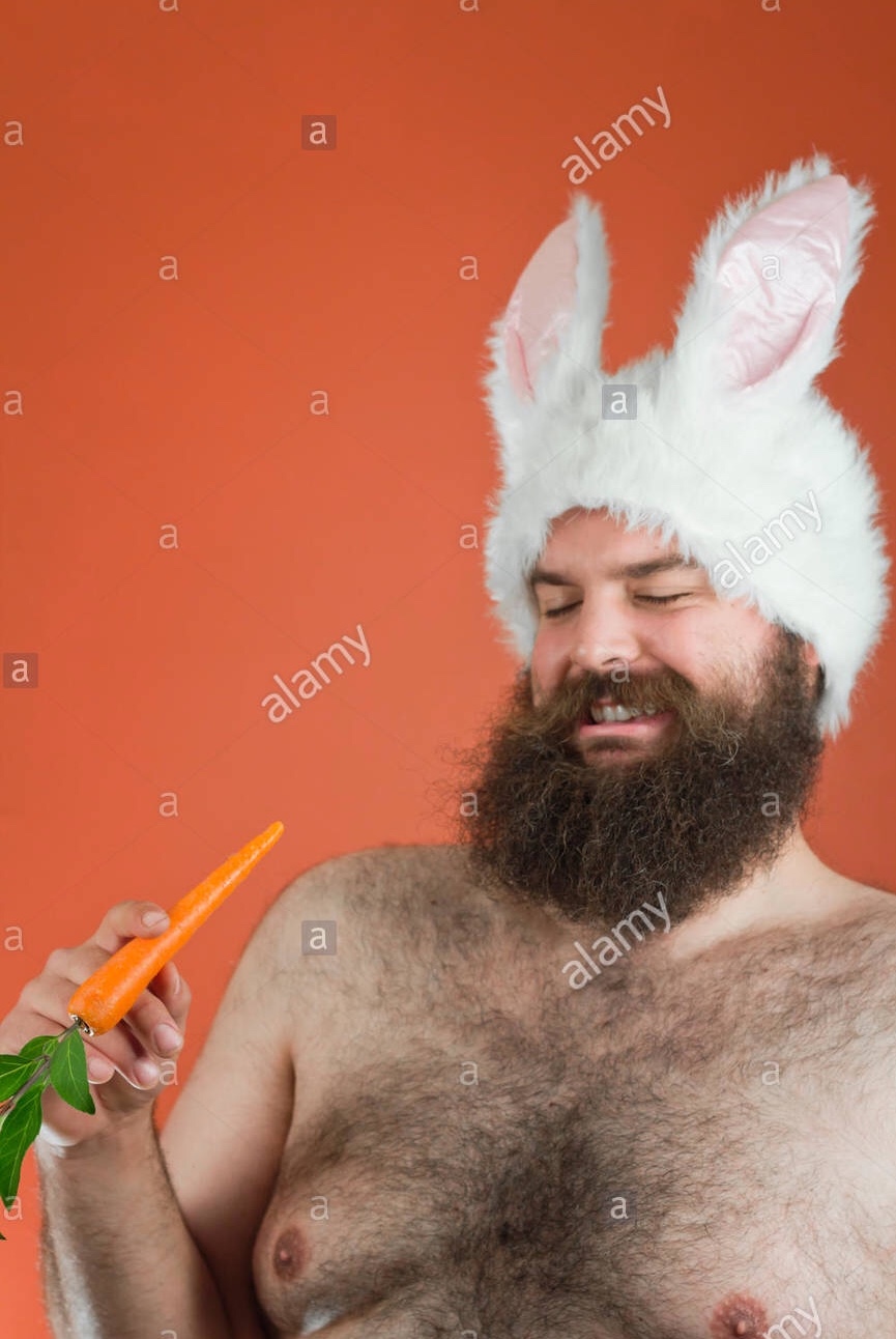 Fat Bearded Rabbit  Blank Meme Template