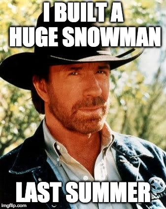 Chuck Norris Meme | I BUILT A HUGE SNOWMAN; LAST SUMMER | image tagged in memes,chuck norris | made w/ Imgflip meme maker