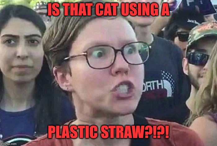 Triggered Liberal | IS THAT CAT USING A PLASTIC STRAW?!?! | image tagged in triggered liberal | made w/ Imgflip meme maker