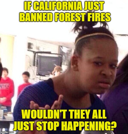 Black Girl Wat Meme | IF CALIFORNIA JUST BANNED FOREST FIRES; WOULDN'T THEY ALL JUST STOP HAPPENING? | image tagged in memes,black girl wat | made w/ Imgflip meme maker