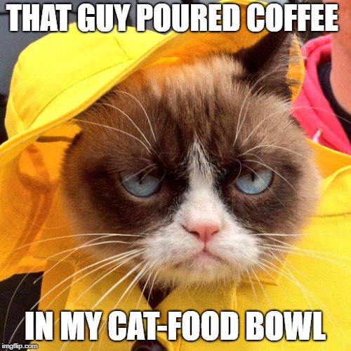 THAT GUY POURED COFFEE IN MY CAT-FOOD BOWL | made w/ Imgflip meme maker