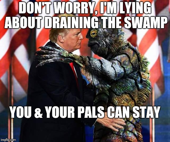 Swamp | DON'T WORRY, I'M LYING ABOUT DRAINING THE SWAMP; YOU & YOUR PALS CAN STAY | image tagged in swamp | made w/ Imgflip meme maker