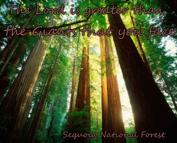 1 John 4:4 Lord Is Greater Than the Giants Sequoia Trees Sequoia Nat'l Forest CA | The Lord is greater than; the Giants that you face; Sequoia National Forest | image tagged in bible,holy bible,holy spirit,bible verse,verse,god | made w/ Imgflip meme maker