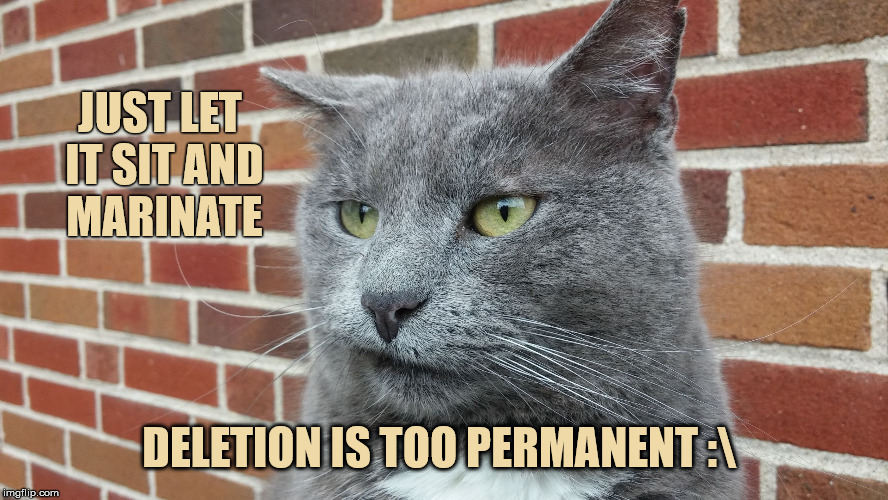 Evil Cat | JUST LET IT SIT AND MARINATE DELETION IS TOO PERMANENT : | image tagged in evil cat | made w/ Imgflip meme maker