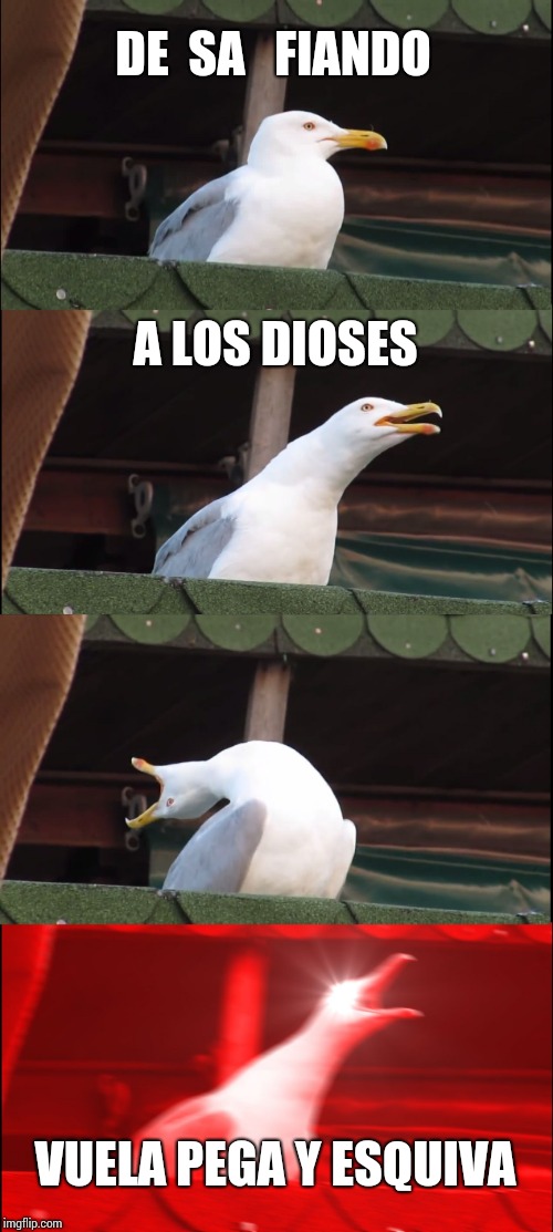 Inhaling Seagull | DE  SA   FIANDO; A LOS DIOSES; VUELA PEGA Y ESQUIVA | image tagged in memes,inhaling seagull | made w/ Imgflip meme maker