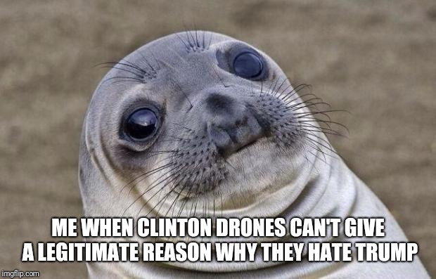 Awkward Moment Sealion Meme | ME WHEN CLINTON DRONES CAN'T GIVE A LEGITIMATE REASON WHY THEY HATE TRUMP | image tagged in memes,awkward moment sealion | made w/ Imgflip meme maker